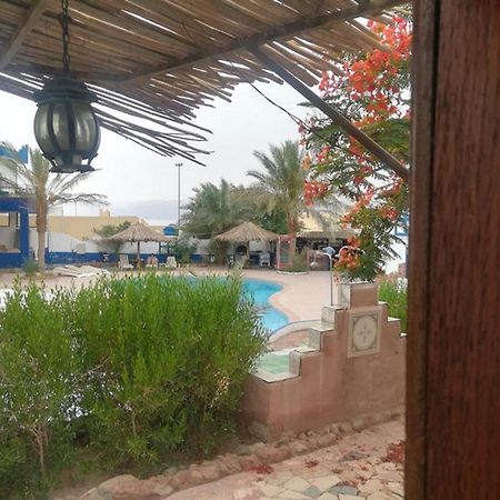 Bedouins Inn Village Άκαμπα Εξωτερικό φωτογραφία