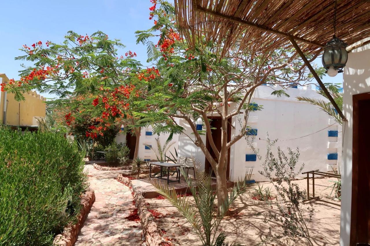 Bedouins Inn Village Άκαμπα Εξωτερικό φωτογραφία