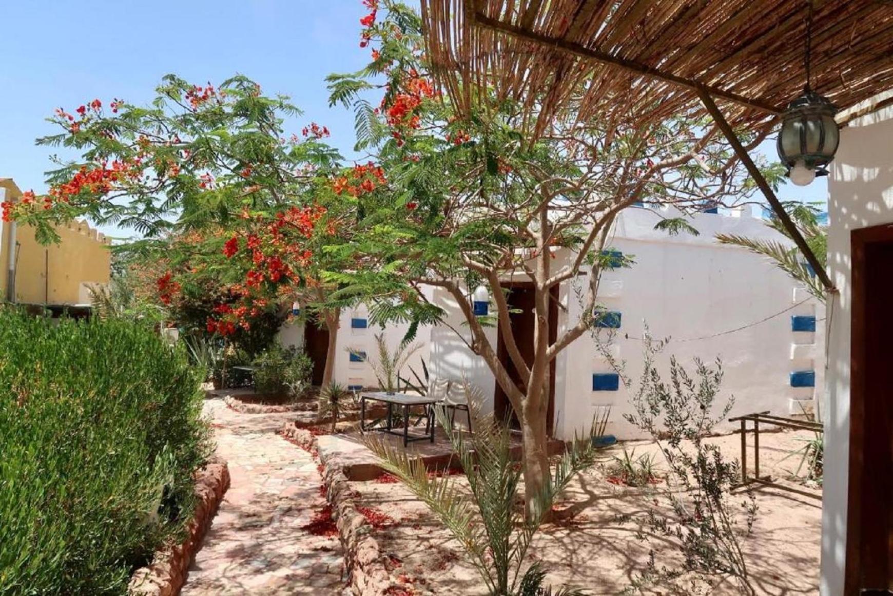 Bedouins Inn Village Άκαμπα Εξωτερικό φωτογραφία