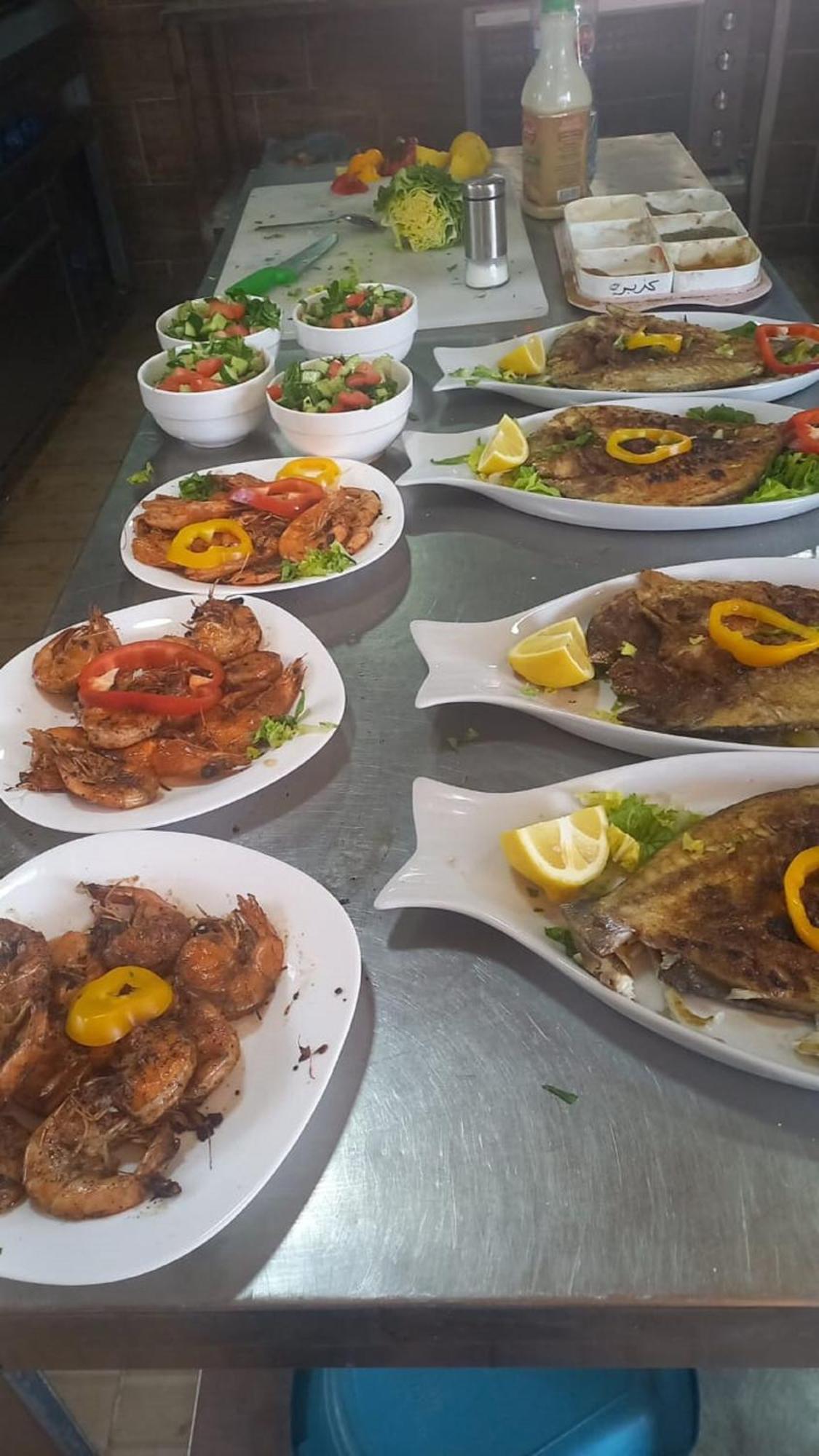 Bedouins Inn Village Άκαμπα Εξωτερικό φωτογραφία